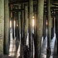 Under the Boardwalk by Kristopher Schoenleber Under the Boardwalk by Kristopher Schoenleber