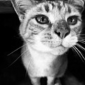 Who me? #1 by Rabiah Seminole