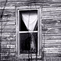 Window by Amanda Barcon Window by Amanda Barcon