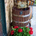 Wine and Geraniums by Debbi Granruth Wine and Geraniums by Debbi Granruth
