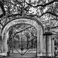 Wormsloe Gate, Savannah, Georgia #2 Photograph by Dawna Moore Photography
