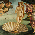 The Birth of Venus Painting by Sandro Botticelli The Birth of Venus Painting by Sandro Botticelli