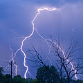 17th Street Lightning Strike Fine Art Photo Photograph by James BO Insogna 17th Street Lightning Strike Fine Art Photo Photograph by James BO Insogna