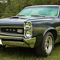 1966 Black GTO Photograph by Daniel Adams