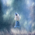 April Showers Photograph by Cathy Kovarik April Showers Photograph by Cathy Kovarik