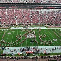 Bama A Panorama Photograph by Kenny Glover Bama A Panorama Photograph by Kenny Glover