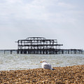 Brighton 2 by Joana Kruse Brighton 2 by Joana Kruse