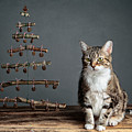 Cat Christmas by Nailia Schwarz Cat Christmas by Nailia Schwarz
