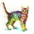 Cat fantasy by Natalja Picugina Cat fantasy by Natalja Picugina