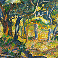 Clearing In Provence by Henri-Edmond Cross Clearing In Provence by Henri-Edmond Cross