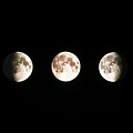 Composite Image Of The Phases Of The Moon #2 Photograph by Science Photo Library