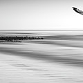 Desire Light Bw Photograph by Hannes Cmarits