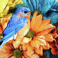 Eastern Bluebird Painting by Tina LeCour Eastern Bluebird Painting by Tina LeCour