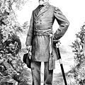 General Robert E Lee by War Is Hell Store General Robert E Lee by War Is Hell Store