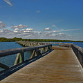 2- J.D. Macarthur State Park Photograph by Joseph Keane 2- J.D. Macarthur State Park Photograph by Joseph Keane