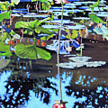 Lotus Reflections by John Lautermilch Lotus Reflections by John Lautermilch