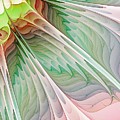 Petals by Amanda Moore Petals by Amanda Moore