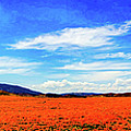 Poppies #5 Photograph by Mark Jackson