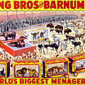 Ringling Brothers and Barnum and Bailey Vintage Poster #2 Painting by Vintage Treasure Ringling Brothers and Barnum and Bailey Vintage Poster #2 Painting by Vintage Treasure