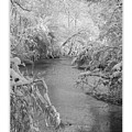 The Huron River Photograph by Phil Perkins The Huron River Photograph by Phil Perkins