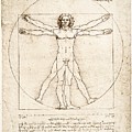 The Proportions Of The Human Figure by Leonardo Da Vinci The Proportions Of The Human Figure by Leonardo Da Vinci