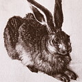 Young Hare by Albrecht Durer Young Hare by Albrecht Durer
