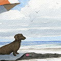 Dachshund at the Beach Painting by David Rogers Dachshund at the Beach Painting by David Rogers
