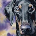 Doberman Pinscher Painting by David Rogers Doberman Pinscher Painting by David Rogers
