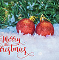 Merry Christmas Photograph by Cathy Kovarik Merry Christmas Photograph by Cathy Kovarik