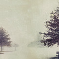 Winter Leaves #2 Photograph by Robert Gardner