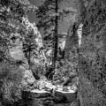 New Mexico 5 by David Henningsen