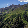 Nebo Loop in July #4 Photograph by K Bradley Washburn