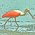 4- Roseate Spoonbill Digital Art by Joseph Keane 4- Roseate Spoonbill Digital Art by Joseph Keane