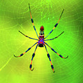 42- Come Closer Digital Art by Joseph Keane 42- Come Closer Digital Art by Joseph Keane