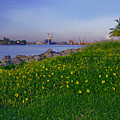 43- Smokestacks and Sunflowers Photograph by Joseph Keane 43- Smokestacks and Sunflowers Photograph by Joseph Keane