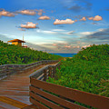 44- Ocean Reef Park Singer Island Photograph by Joseph Keane 44- Ocean Reef Park Singer Island Photograph by Joseph Keane