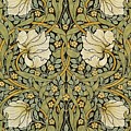 Pimpernel Painting by William Morris Pimpernel Painting by William Morris