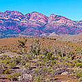 Wilpena Pound  #5 Photograph by Bill  Robinson