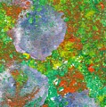 6 Painting by Sarahleah Hankes 6 Painting by Sarahleah Hankes