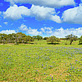 Texas Hill Country Photograph by Raul Rodriguez Texas Hill Country Photograph by Raul Rodriguez