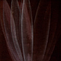 Abstract flower Painting by Jitka Anlaufova Abstract flower Painting by Jitka Anlaufova