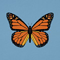74- Monarch Butterfly Photograph by Joseph Keane 74- Monarch Butterfly Photograph by Joseph Keane