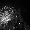 Cinderella Castle by Rob Hans Cinderella Castle by Rob Hans