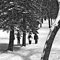 9974 Photograph by Burney Lieberman 9974 Photograph by Burney Lieberman