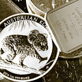 999 Silver Mint Photograph by Jorgo Photography 999 Silver Mint Photograph by Jorgo Photography