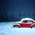 A Bug In The Snow by David Dehner A Bug In The Snow by David Dehner