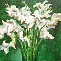 A bunch of White Gladioli by Usha Shantharam A bunch of White Gladioli by Usha Shantharam