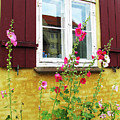 A Cheerful Window Photograph by Ted Keller A Cheerful Window Photograph by Ted Keller