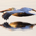 A Closer Look Photograph by Janet Fikar A Closer Look Photograph by Janet Fikar
