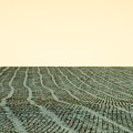 A Field Stitched by Todd Klassy A Field Stitched by Todd Klassy